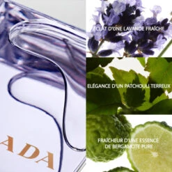 Prada Amber Pour Homme Eau De Toilette -PARFUMS Soldes amber pour homme eau de toilette 3