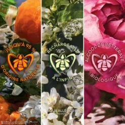 Guerlain Coffret Aqua Allegoria Nerolia Vetiver Coffret Pour Femme -PARFUMS Soldes coffret aqua allegoria nerolia vetiver eau de toilette 5