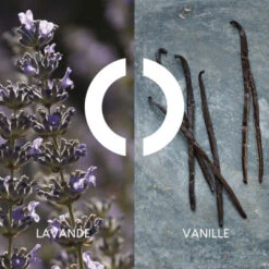 Coffret Pour Un Homme De CARON Coffret Pour Homme 8 Coffret Pour Un Homme De CARON Coffret Pour Homme -PARFUMS Soldes coffret pour un homme de caron 2