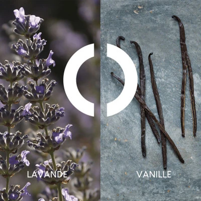 Coffret Pour Un Homme De CARON Coffret Pour Homme 3 Coffret Pour Un Homme De CARON Coffret Pour Homme – Image 3