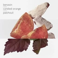 Hermès Elixir Des Merveilles Eau De Parfum -PARFUMS Soldes eau merveille edp 7