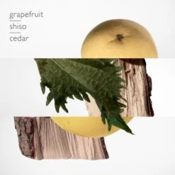 Terre D'Hermès Parfum -PARFUMS Soldes terre hermes parf 1 4