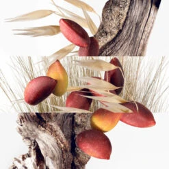 Hermès Un Jardin à Cythère Eau De Toilette -PARFUMS Soldes un jardin a cythere 2