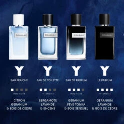 Yves Saint Laurent Y Eau De Toilette -PARFUMS Soldes y men edt 3